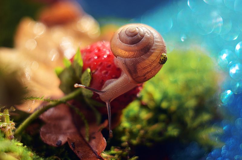 Friends фото превью