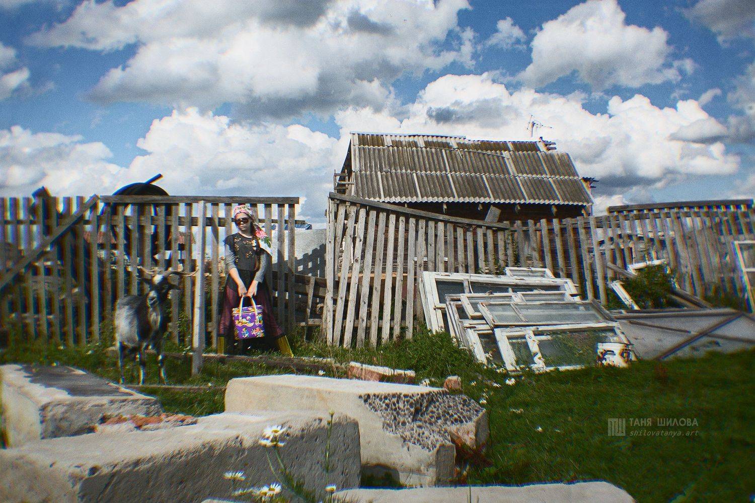 , Таня Шилова