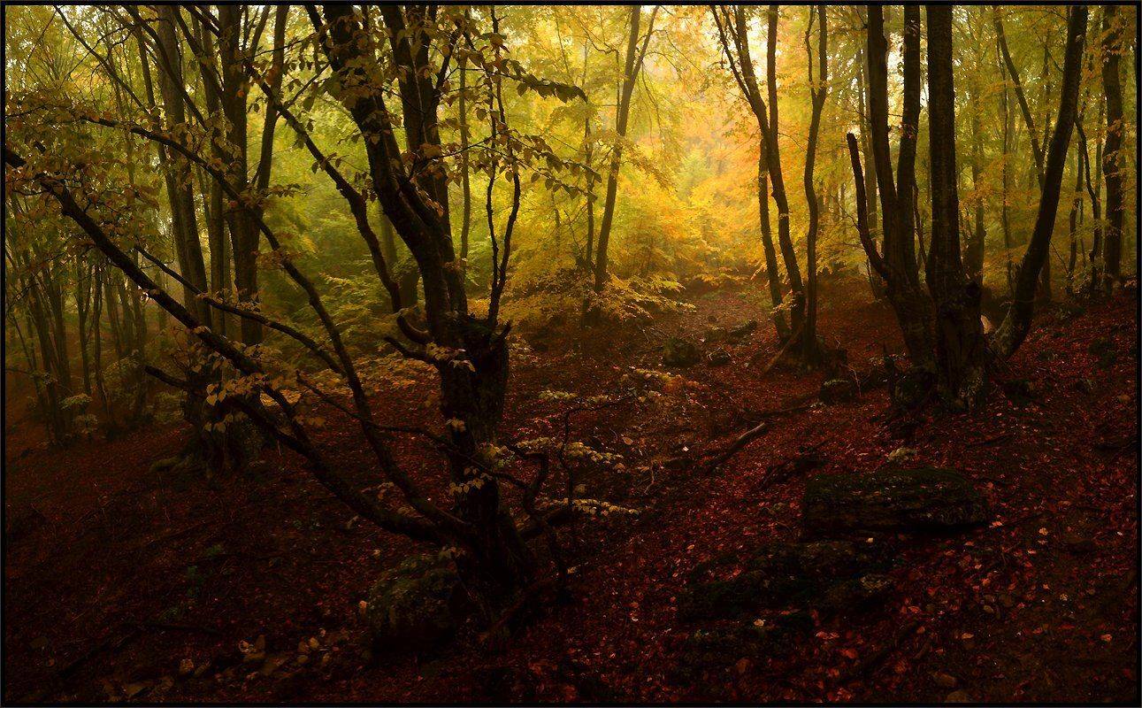 , Владимир Метцгер