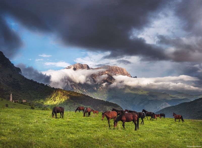Горная Ингушетия фото превью