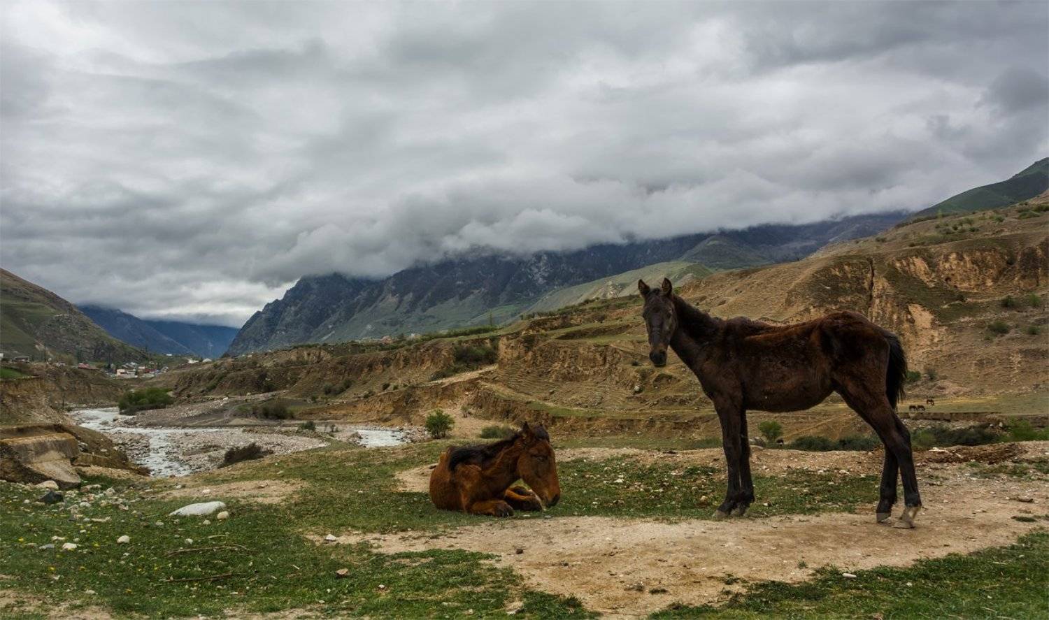 природа, пейзаж, кавказ, горы, весна, вечер, панорама, небо, облака, животные, лошади, река, Альберт Беляев