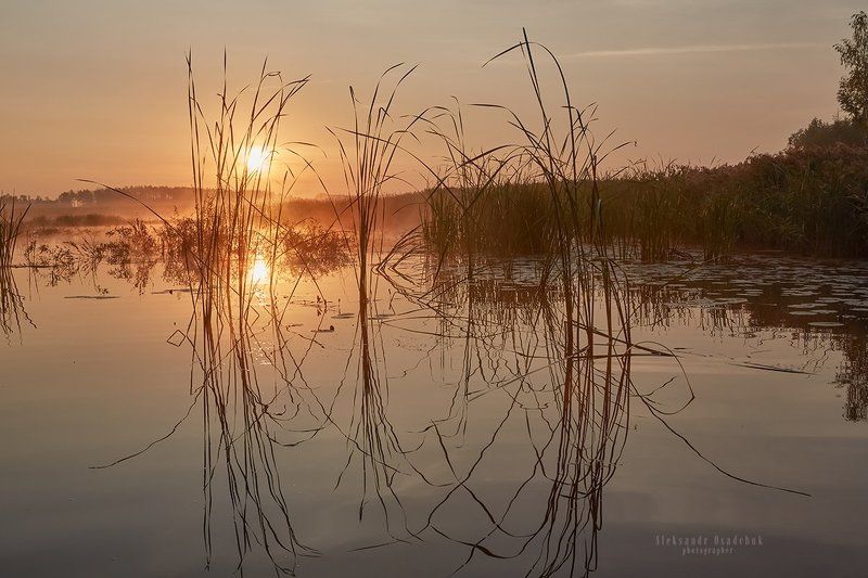 утро фото превью