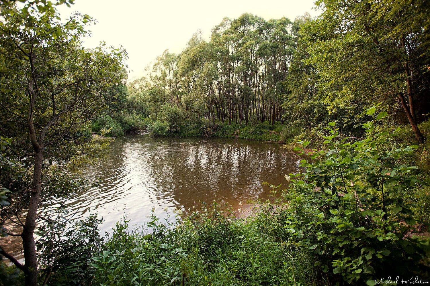 , Кочетов Михаил