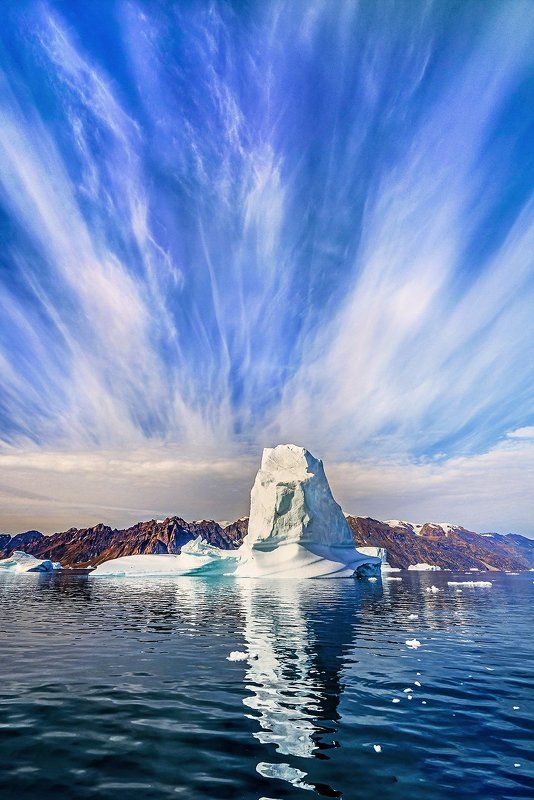 Rise ... фото превью