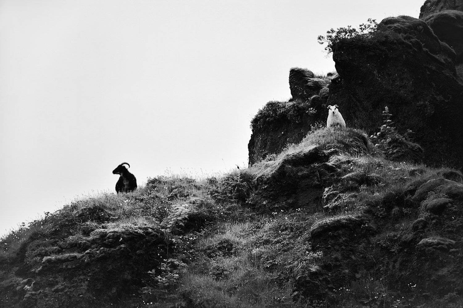 , Марина Никифорова