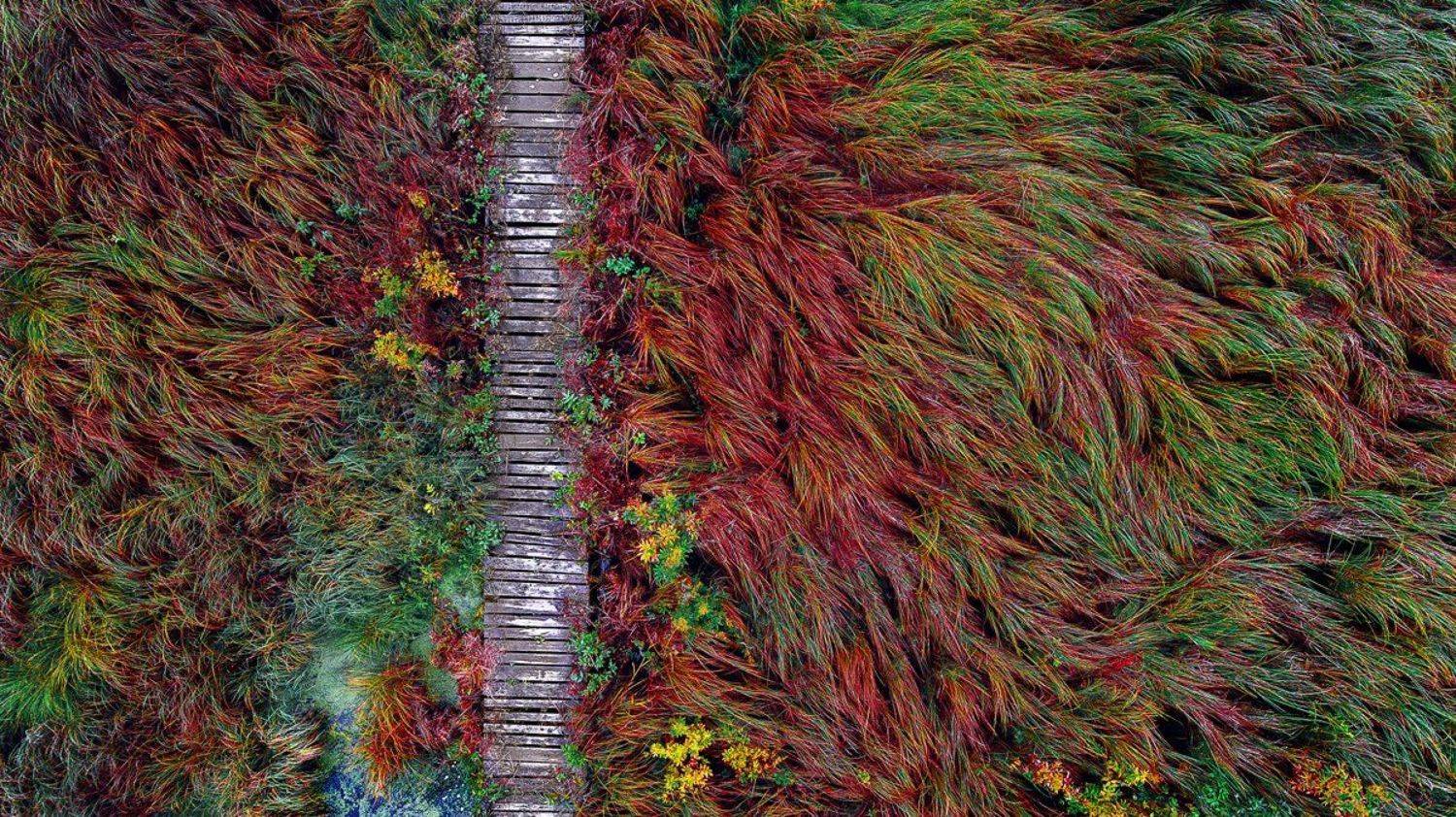 , Михаил Лежнёв