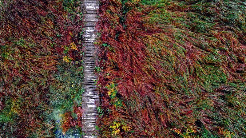 Осенний холст фото превью