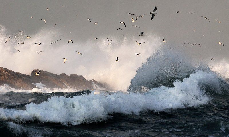 Between the waves and the light фото превью