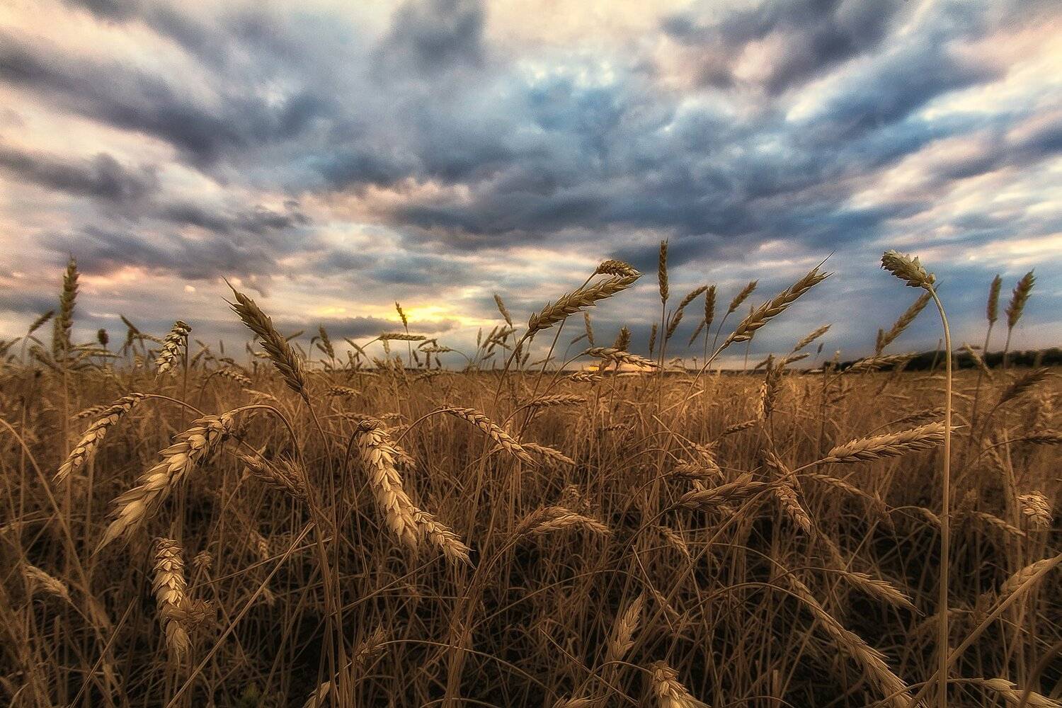 , Павел Сагайдак