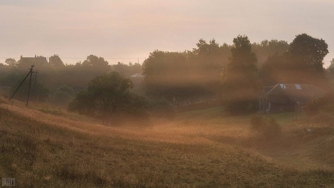 , Дмитрий Доронин