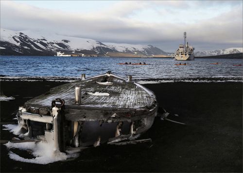 Пейзаж с водоплавающими