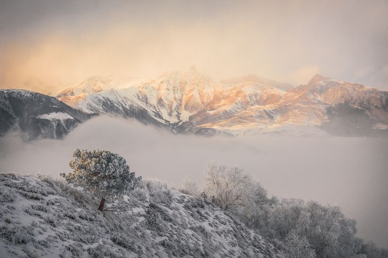 Природа заповедников и национальных парков России фото превью