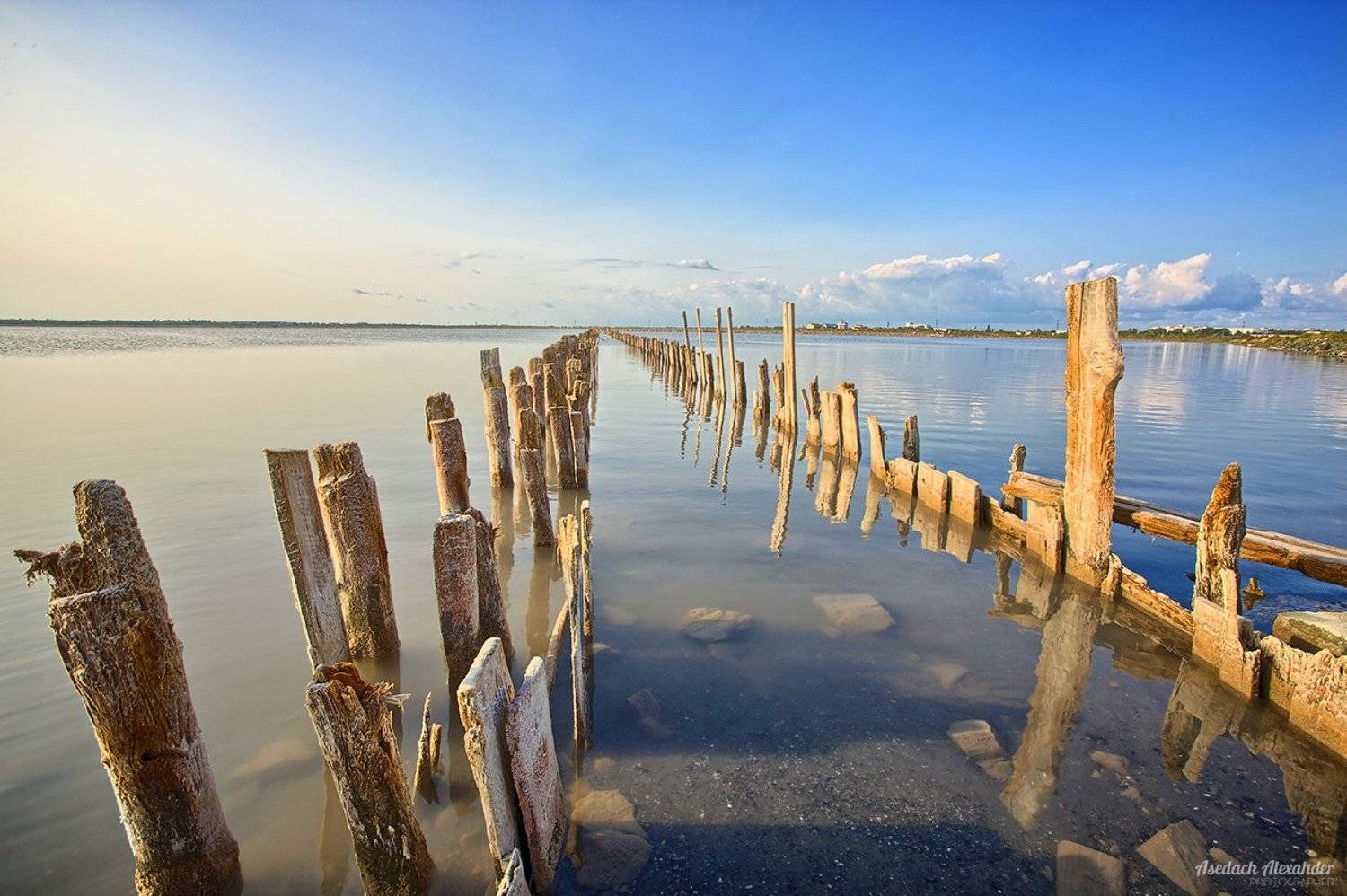 , Александр Аседач