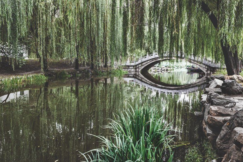 Пруд в дворцовом парке фото превью