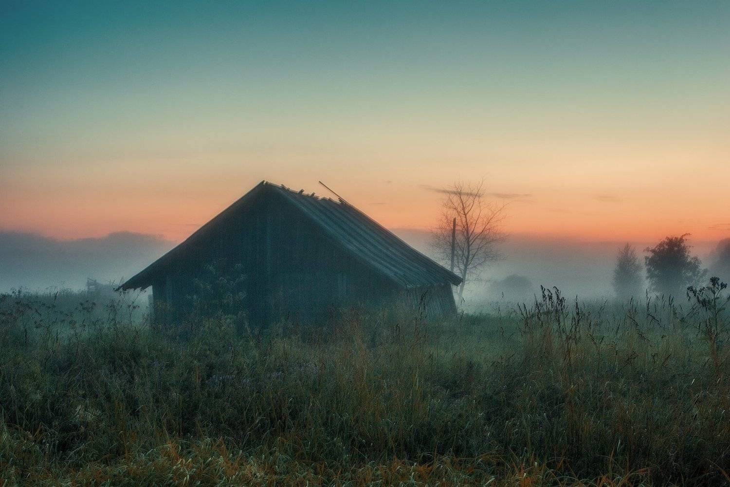 , Владимир Липецких