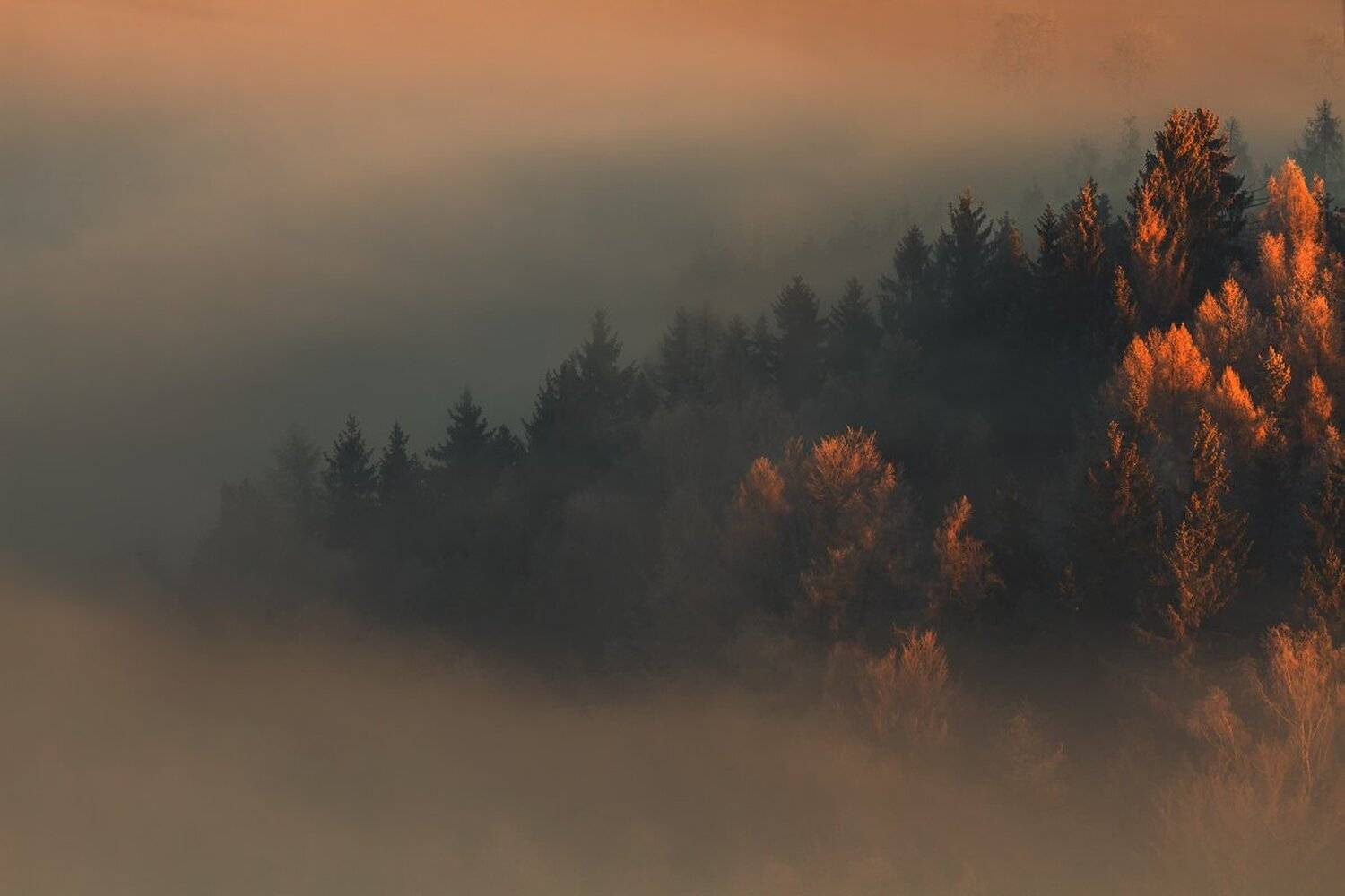 landscape,canon,mist,light,autumn, Iza,Darek