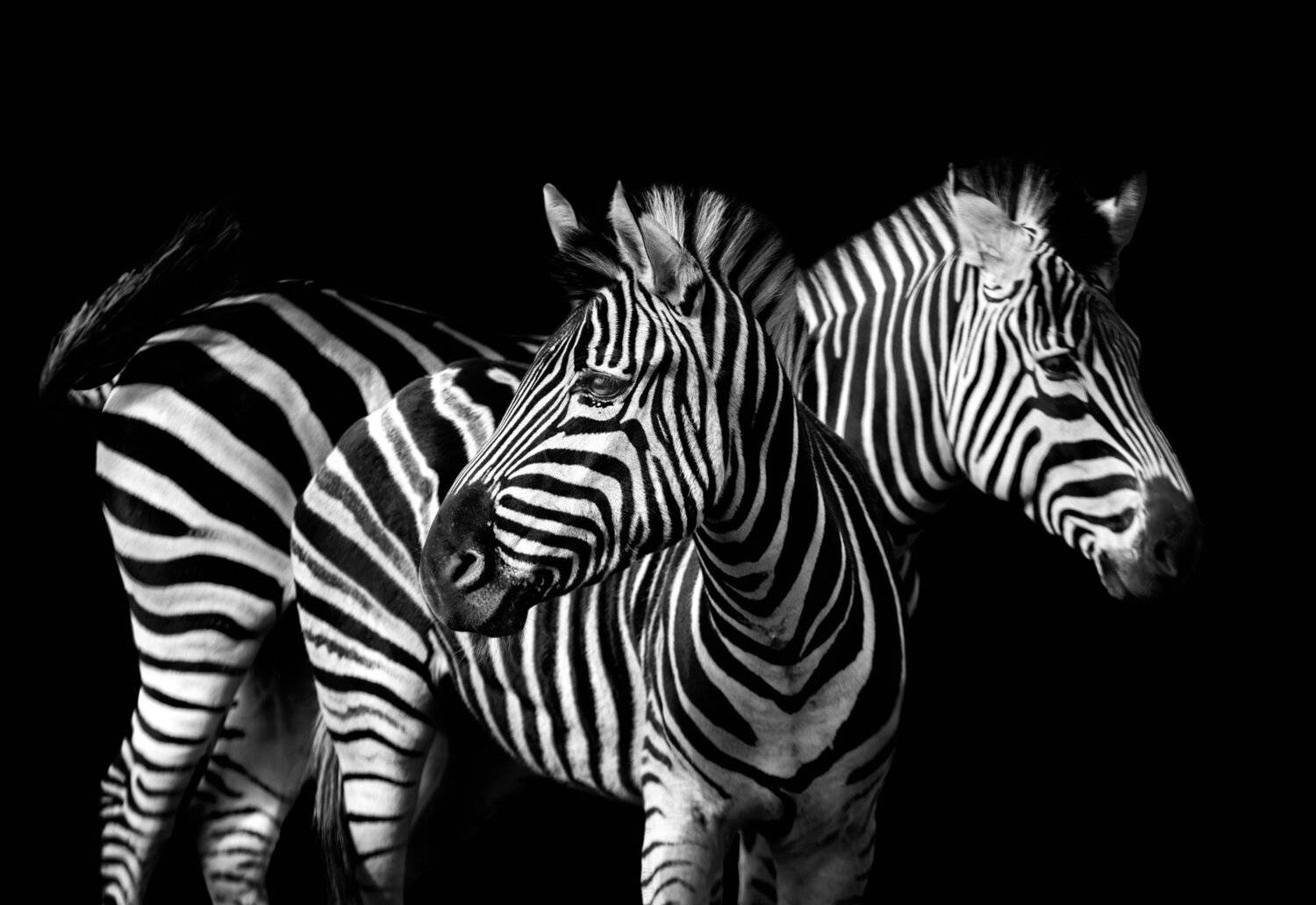 , Олег Богданов