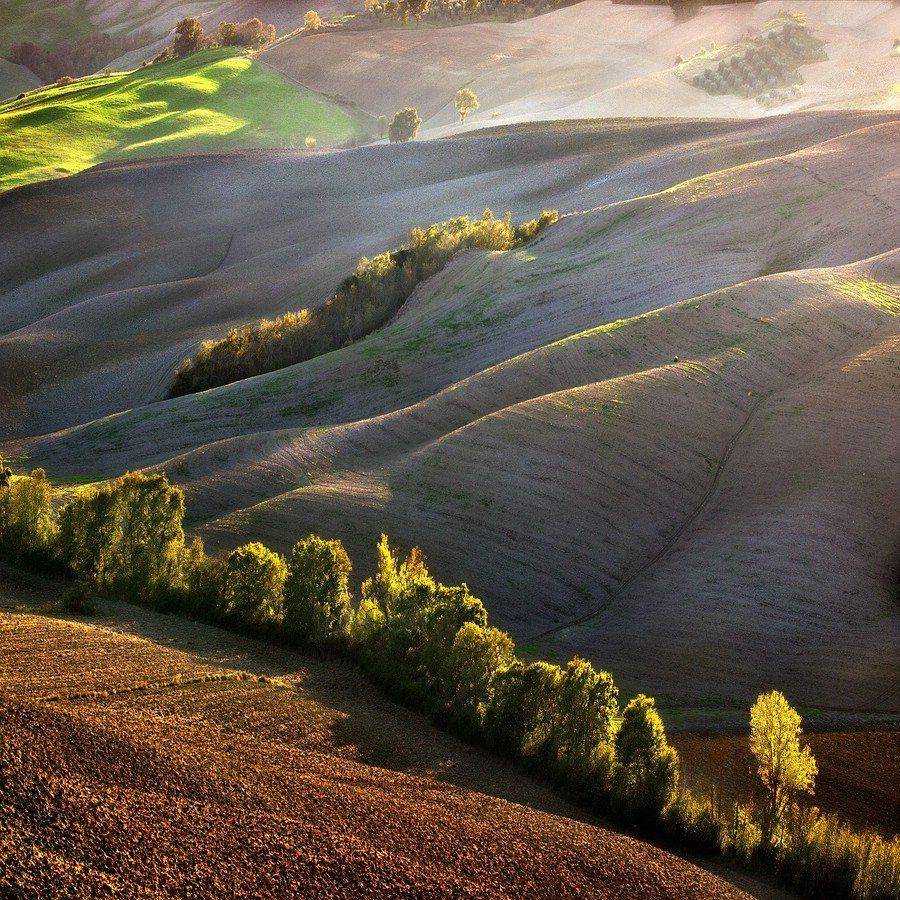 italy, tuscany, Adam Pachula