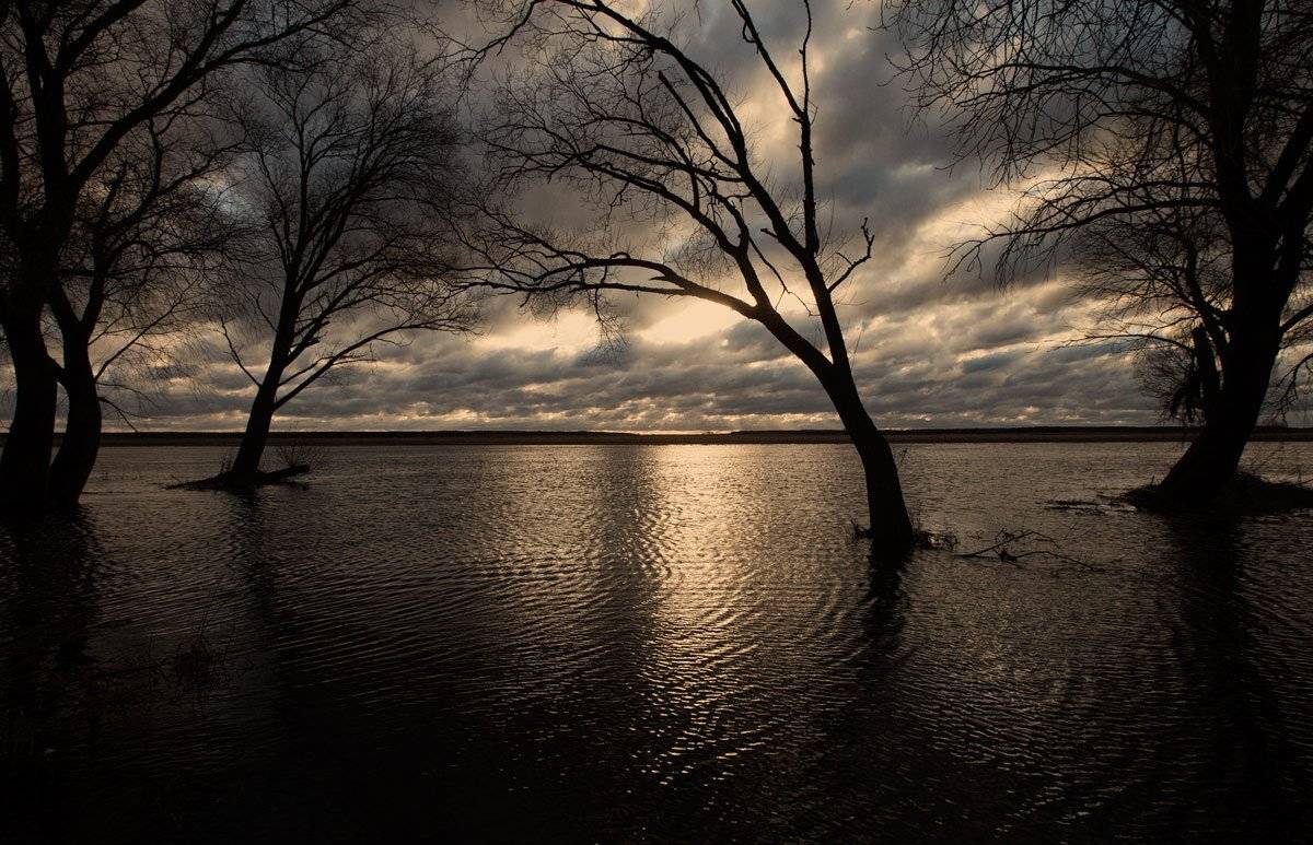 ***, Валерий Кондратов