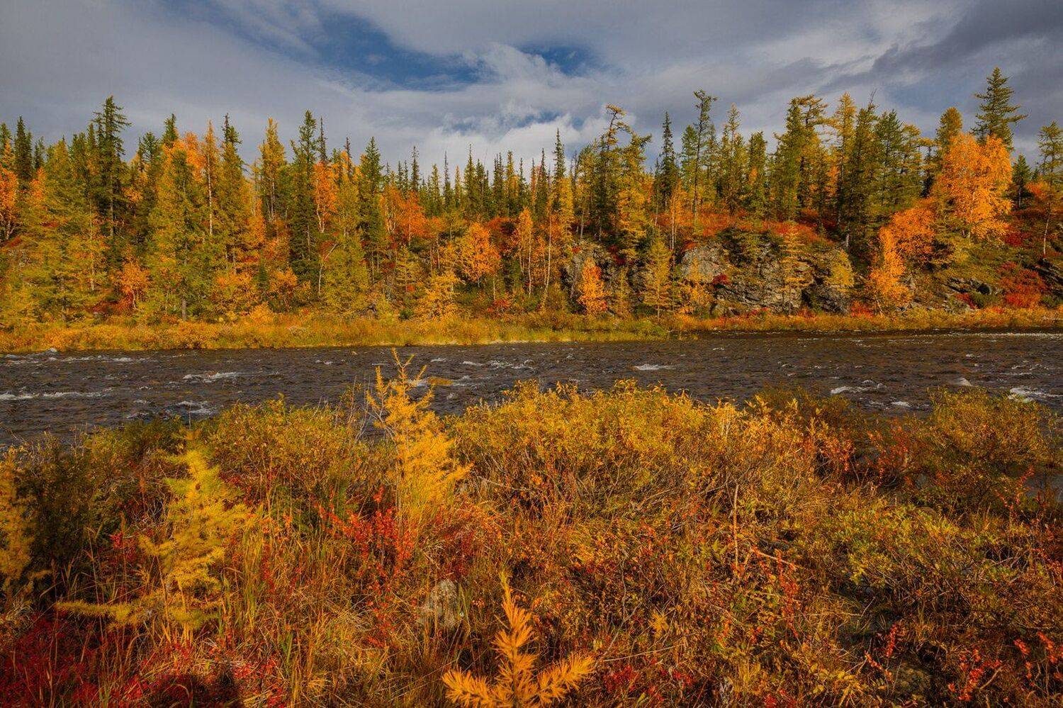 , Евгений Кужилев