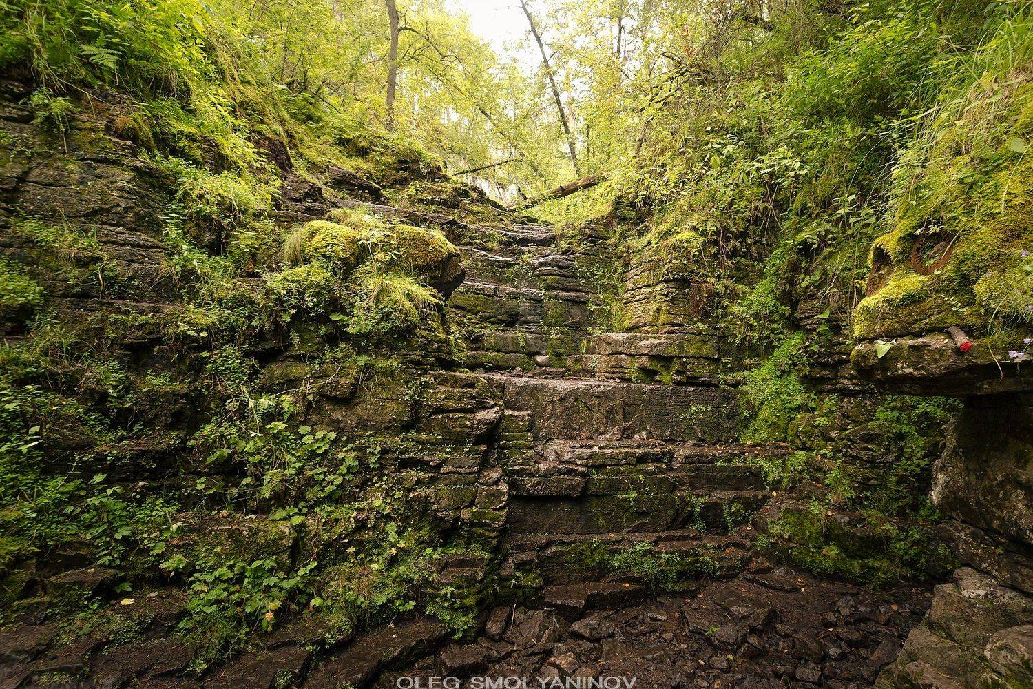 , Олег Смолянинов