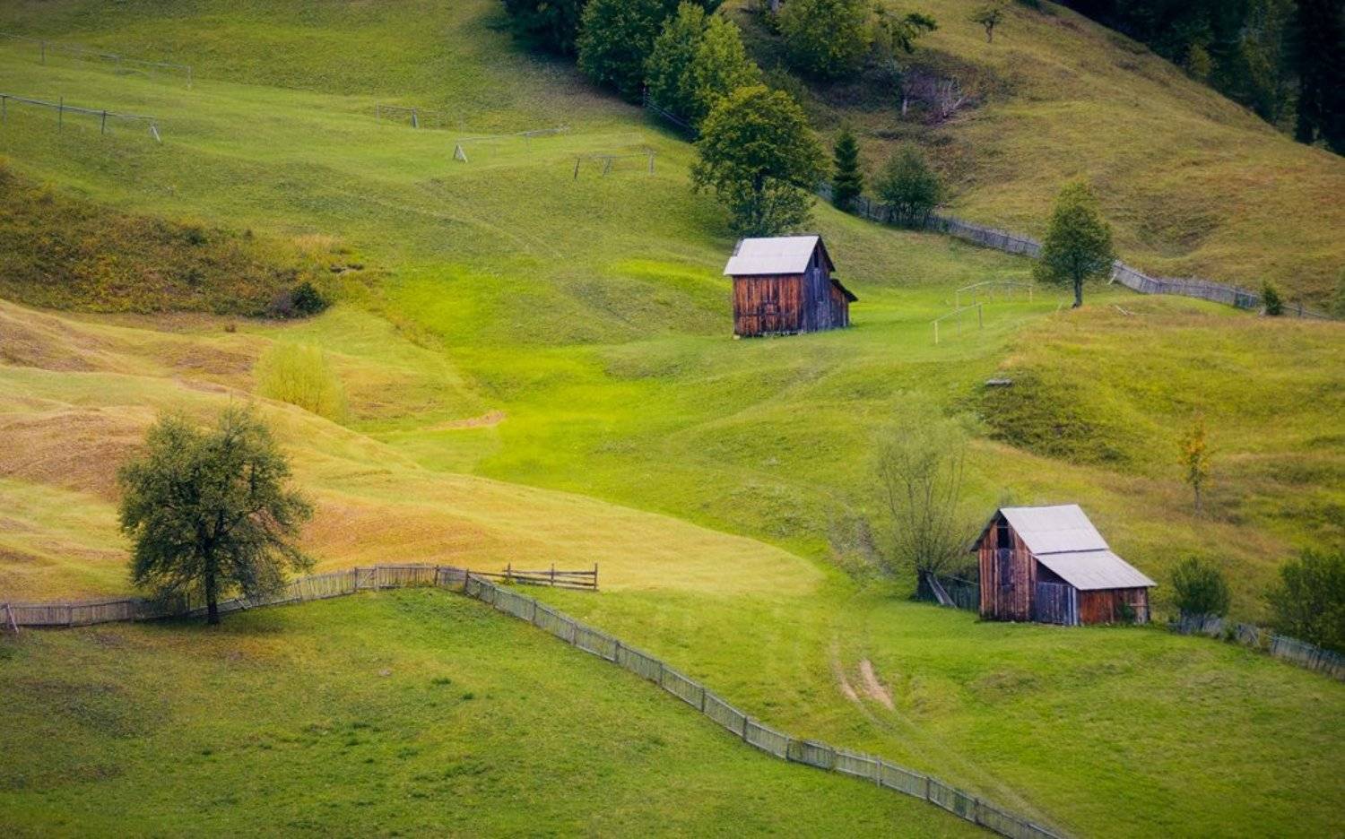 , Mihail-Bogdan Chirobocea