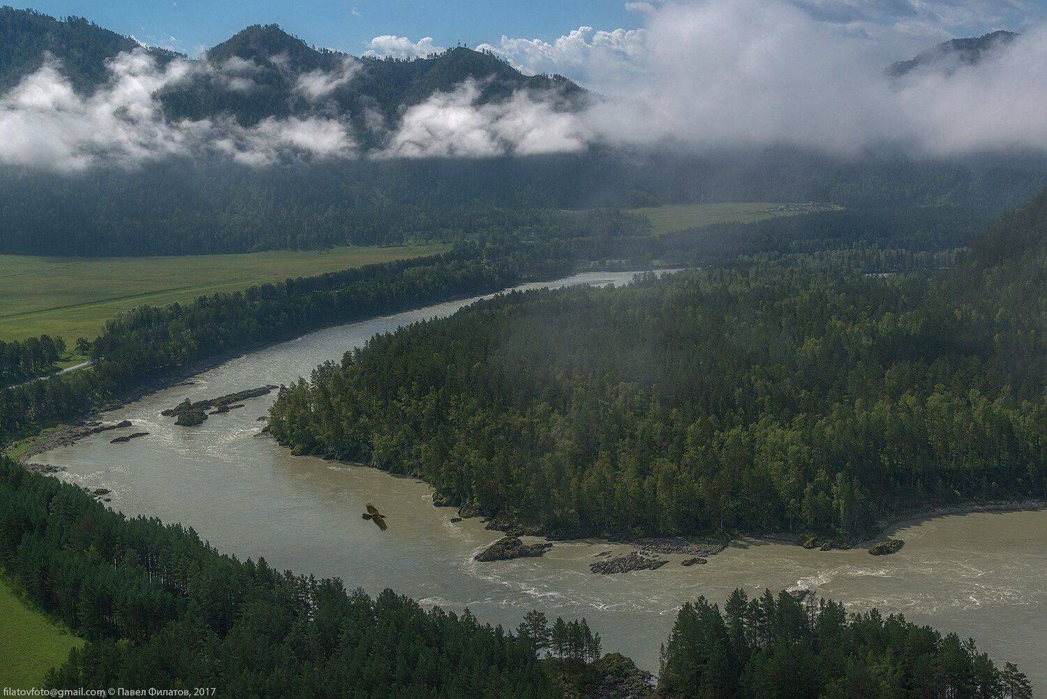 алтай, сибирь, siberia, лето, катунь, altai, утро, туман, ворон, туман, Павел Филатов