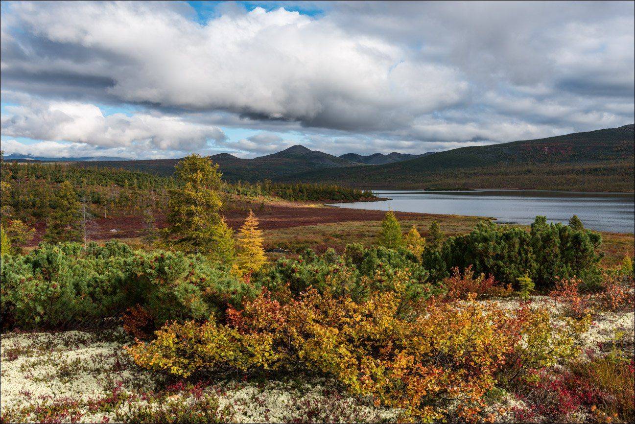 колыма, магадан, оз. джека лондона, осень, Андрей