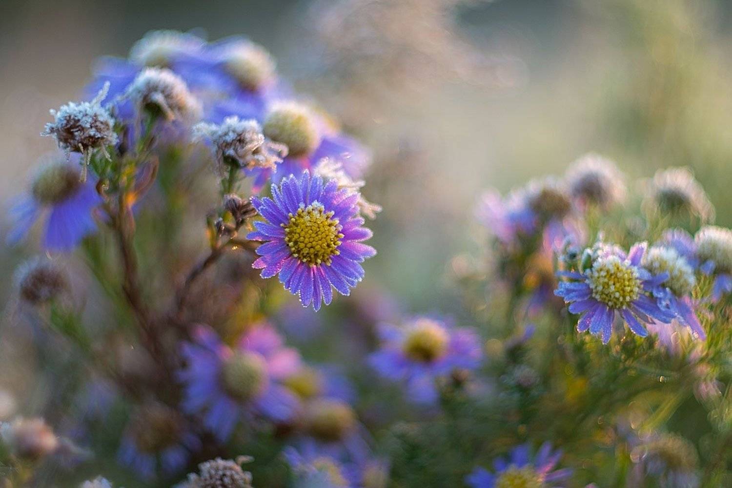 , Сергей Брагин