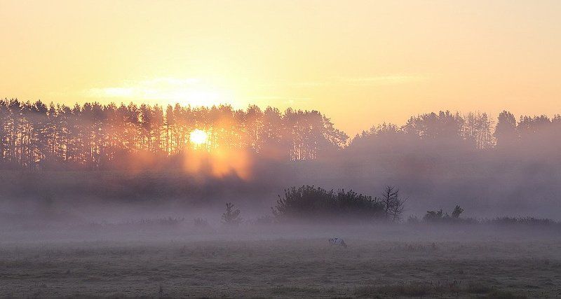 Туман-вечной тайны волшебство фото превью