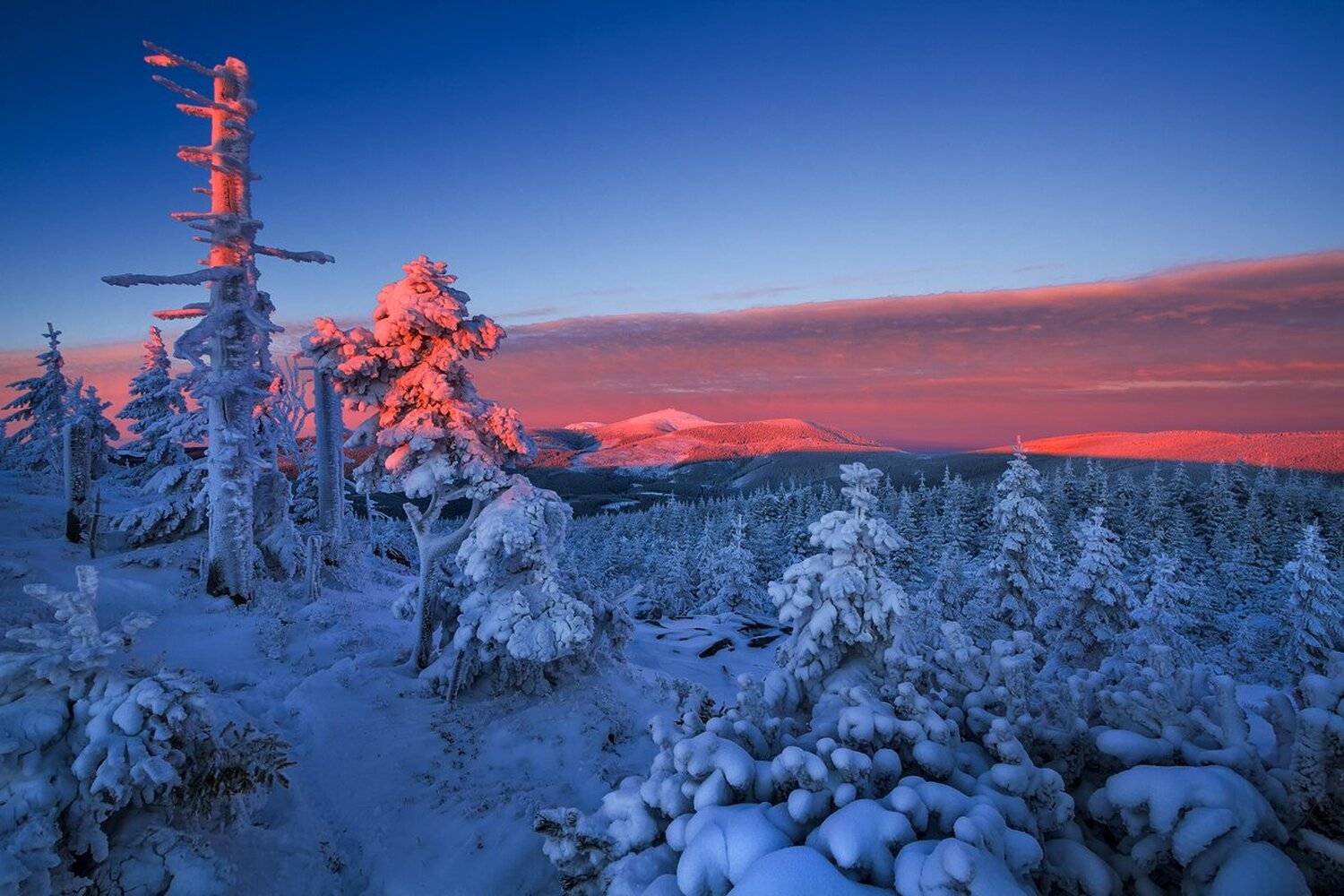 landscape,canon,winter,sunrise, Iza,Darek