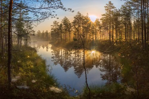 Хорошее утро