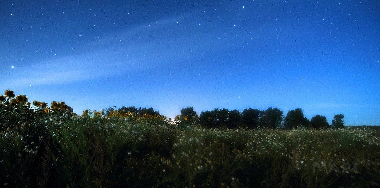 пейзаж, ночь, звезды, август, Шангареев Марс