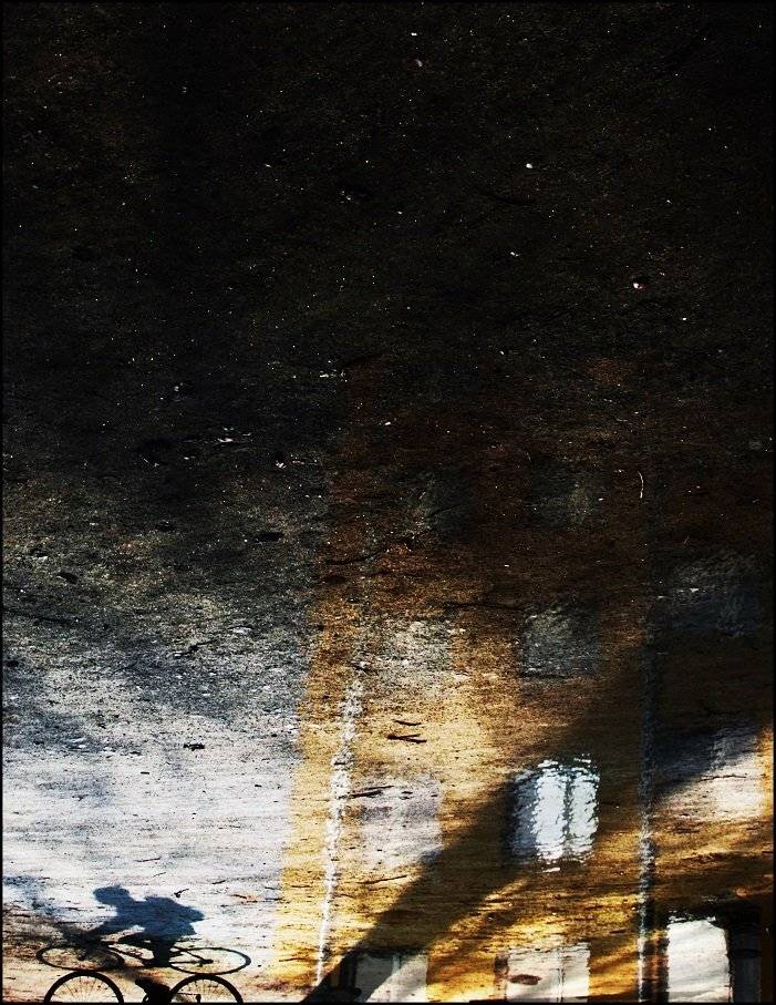 .... Автор: Krzysztof Trojanowski , Krzysztof Trojanowski