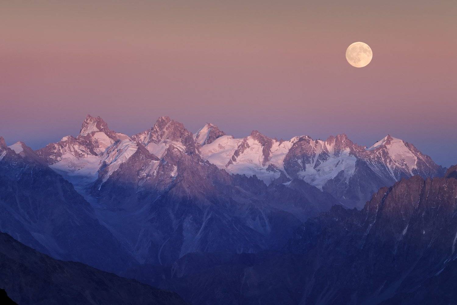 , Дмитрий Купрацевич