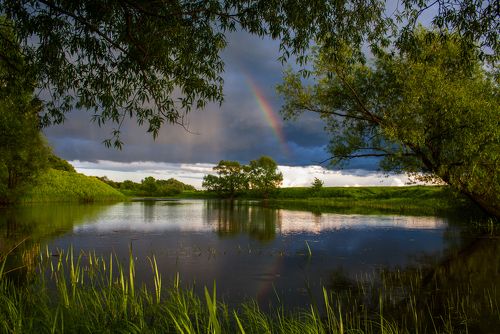 Радужное настроение