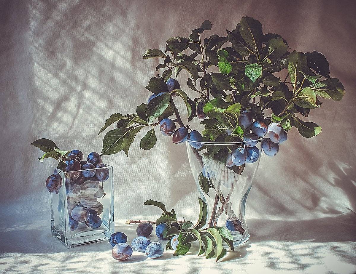 , Инна Сухова