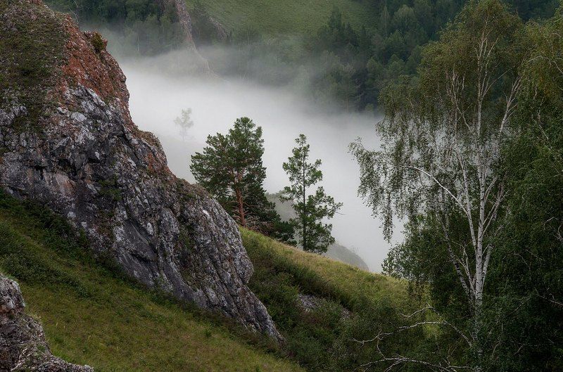 После дождя. фото превью