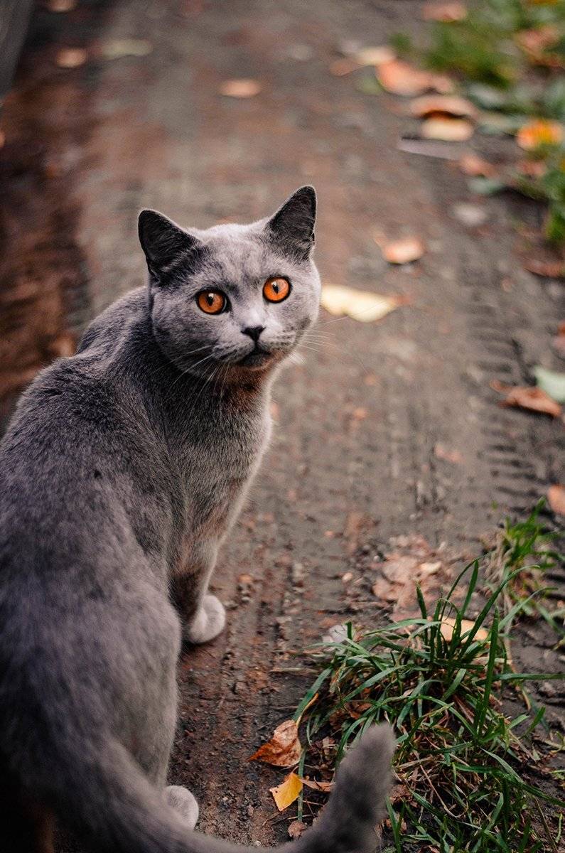 , Чернякова Анна