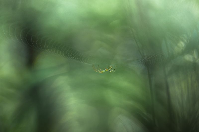 Upside Down фото превью