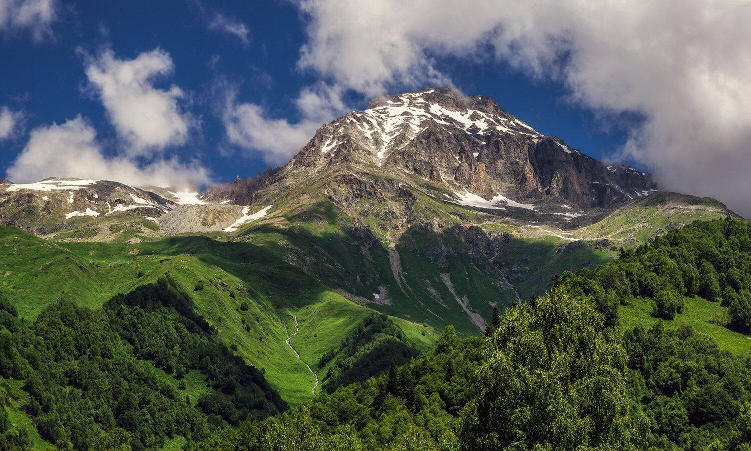 , Игорь Мелекесцев