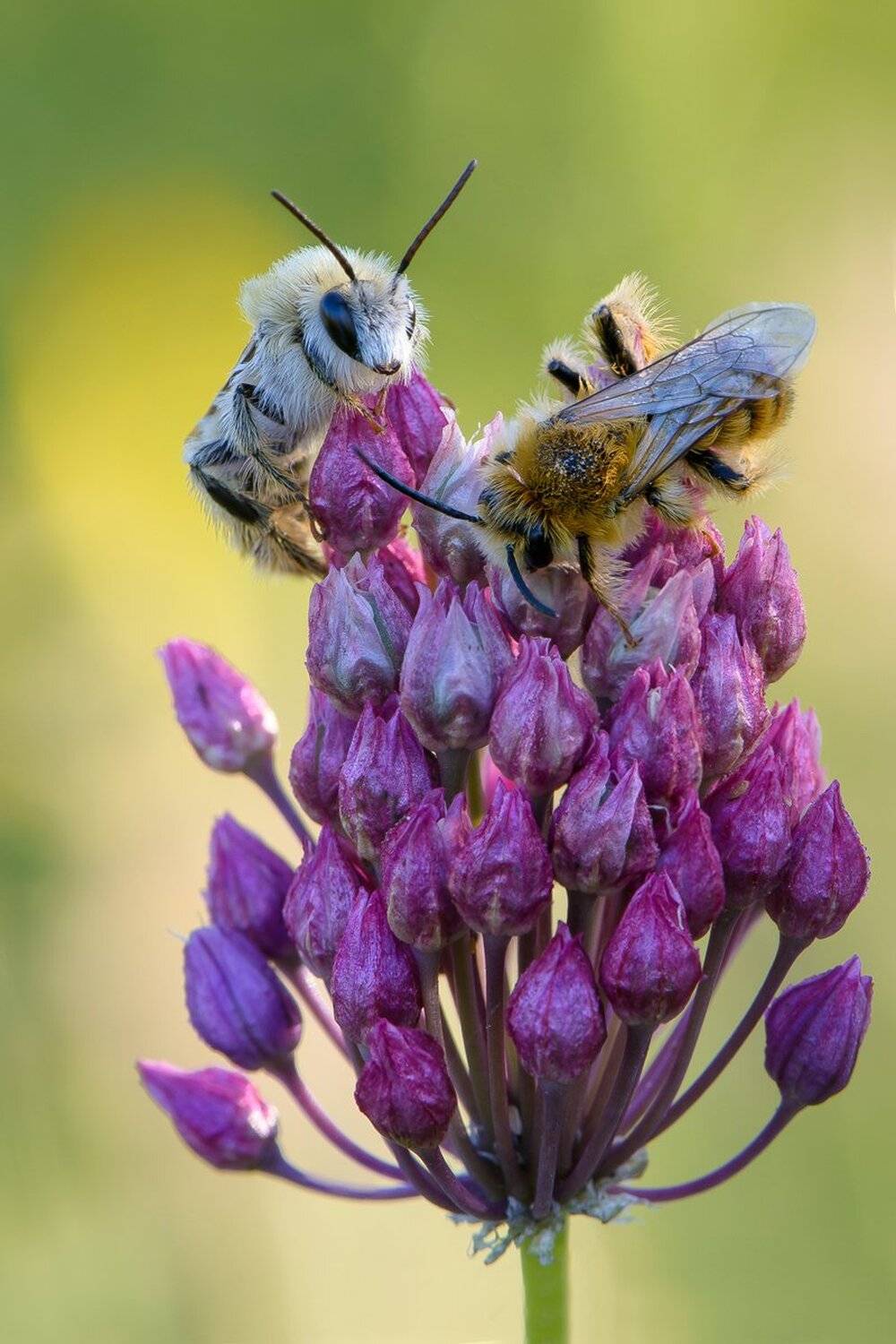 , Кузнецов Дмитрий