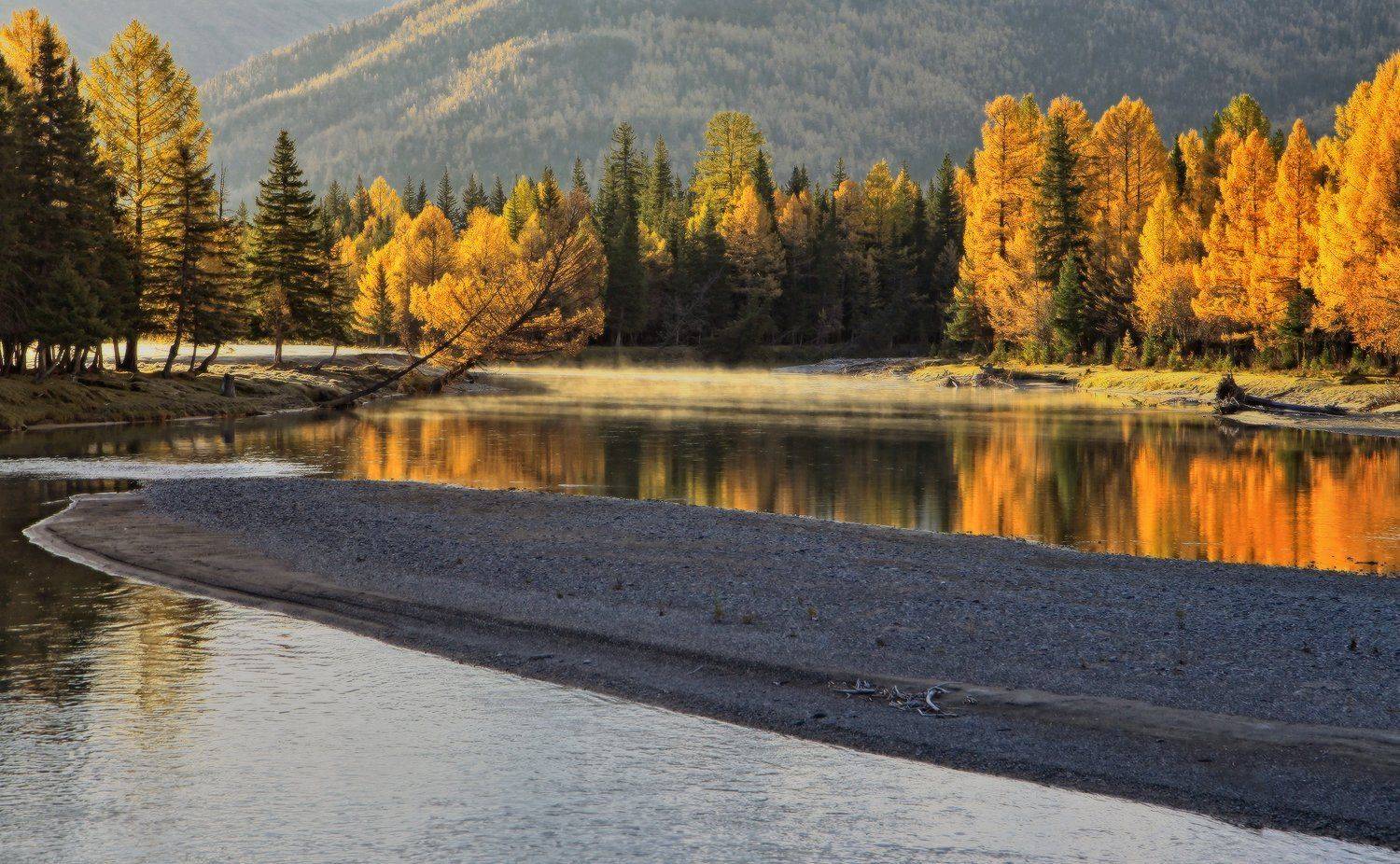 , Галина Хвостенко