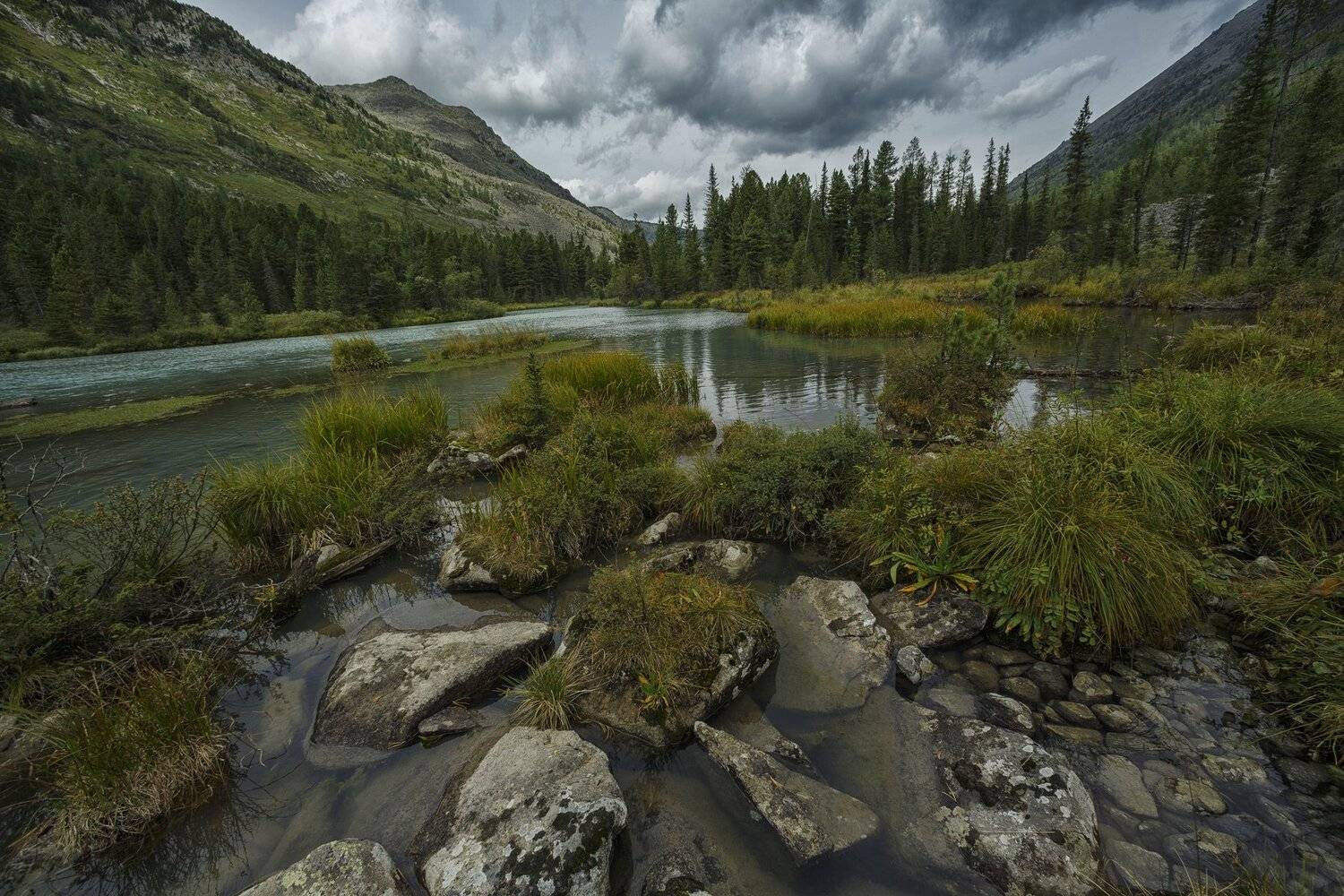 , Шевченко Николай