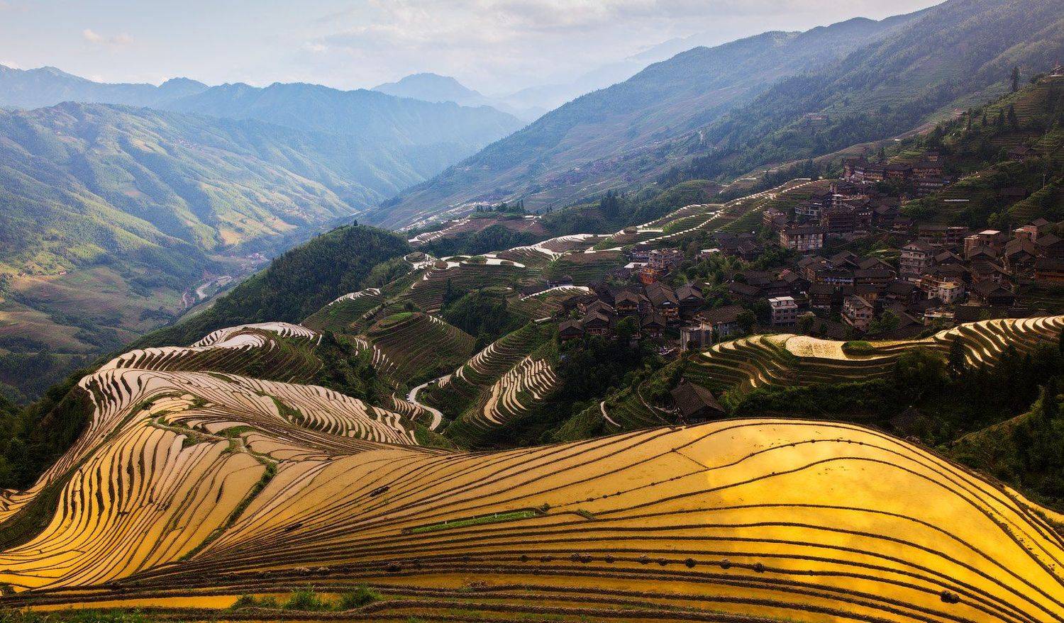 китай, Андрей Ведерников