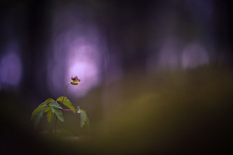 Высоко сижу фото превью