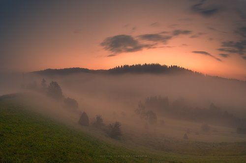 Misty morning