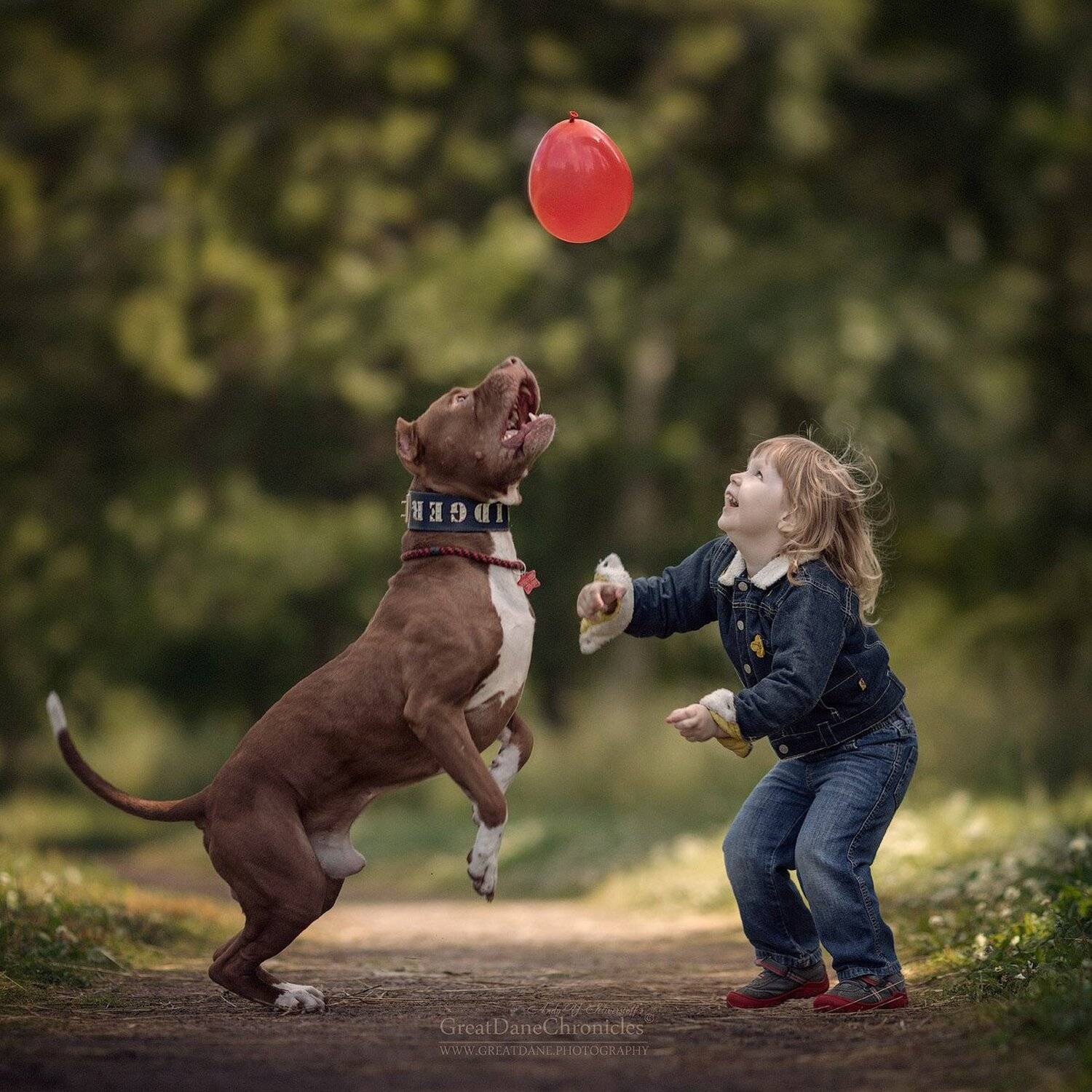 , Андрей Селиверстов