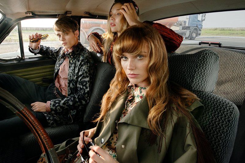 Подорожники фото превью