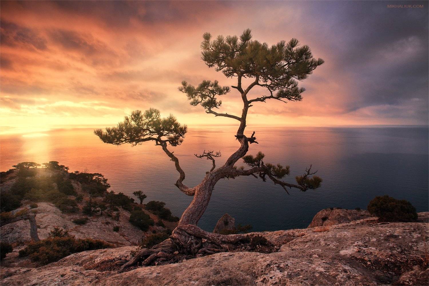 , Михалюк Сергей *